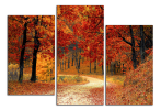 Obraz na plátne Cesta podzimním lesem