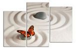 Obraz na plátne Motýl na kamenu