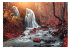 Obraz na plátne Podzimní les