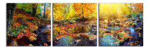 Obraz na plátne Podzimní les