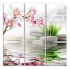 Obraz na plátne Orchidej a zen kameny