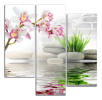 Obraz na plátne Orchidej a zen kameny