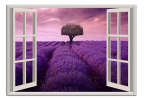 Obraz na plátne Okno do Provence