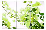 Obraz na plátne Zelené květy