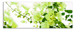 Obraz na plátně Zelené květy