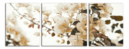 Obraz na plátne Hnědé květy