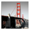 Obraz na plátne Most Golden Gate