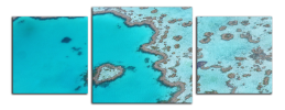 Obraz na plátne Korálový útes