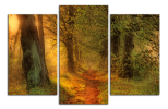 Obraz na plátne Lesní cesta