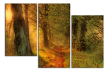 Obraz na plátne Lesní cesta