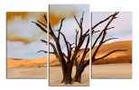 Obraz na plátne Strom a poušť