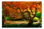 Obraz na plátně Japonská zahrada