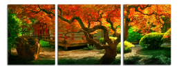 Obraz na plátně Japonská zahrada
