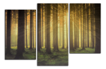 Obraz na plátne Magický les