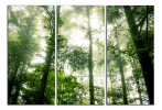 Obraz na plátne Zelený les