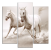 Obraz na plátne Koně
