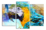 Obraz na plátne Barevný papoušek