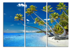 Obraz na plátne Pláž a palmy