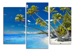 Obraz na plátne Pláž a palmy