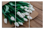 Obraz na plátne Bílé tulipány